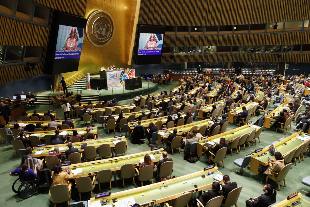 Opening meeting of the 64th Commission on the Status of Women (CSW) at the UN headquarters in New York